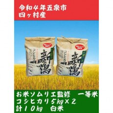 【味に自信あり】令和4年新潟県五泉市四ヶ村コシヒカリ5kg×2　10kg精白米