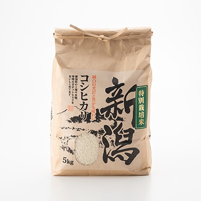 【新米先行受付】R7年産新潟県五泉市産　コシヒカリ　10kg(5kg×2袋)　精米