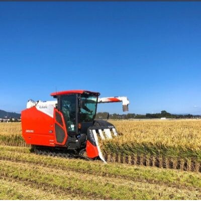 令和7年産新米【お米ソムリエのお米】ゆきん子舞 精米 10kg(5kg×2袋)五泉市四ヶ村産米