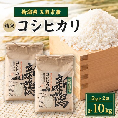 【先行受付】令和8年産新潟県五泉市産　コシヒカリ　10kg(5kg×2袋)　精米