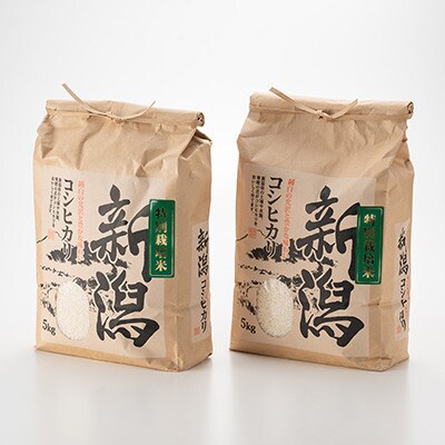 【先行受付】令和8年産新潟県五泉市産　コシヒカリ　10kg(5kg×2袋)　精米