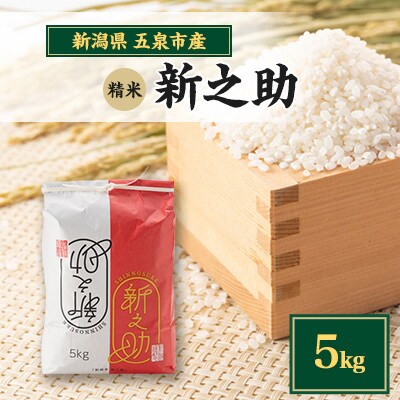 【先行受付】令和8年産新潟県五泉市産　新之助　5kg　精米