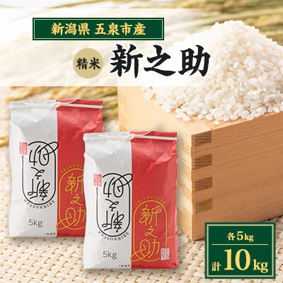 【先行受付】令和8年産新潟県五泉市産　新之助　10kg(5kg×2袋)　精米