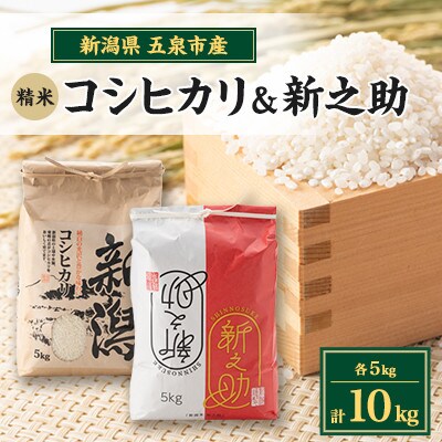 【先行受付】令和8年産新潟県五泉市産　食べ比べセット　コシヒカリ5kg　新之助5kg　計10kg