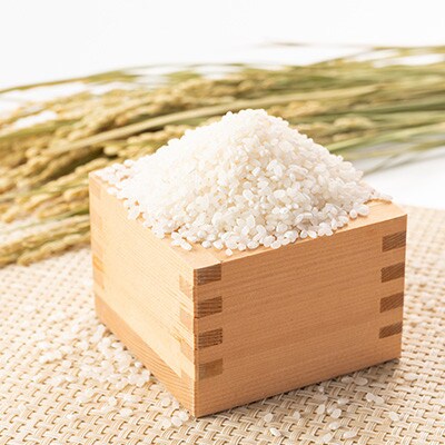 【先行受付】令和8年産新潟県五泉市産　食べ比べセット　コシヒカリ5kg　新之助5kg　計10kg