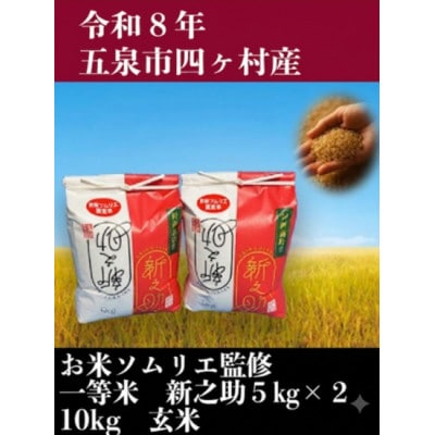 【先行受付】令和8年産新潟県五泉市産　新之助　10kg(5kg×2袋)　玄米