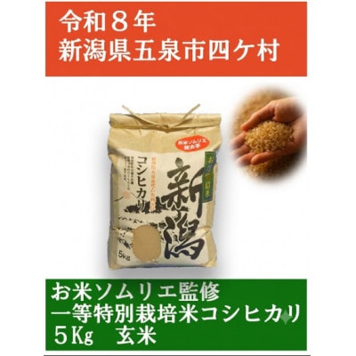 【先行受付】令和8年産新潟県五泉市産　コシヒカリ　5kg　玄米