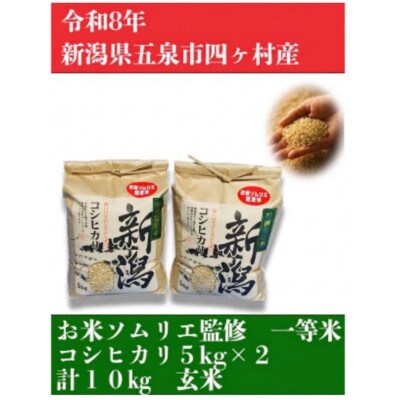【先行受付】令和8年産新潟県五泉市産　コシヒカリ　10kg(5kg×2袋)玄米