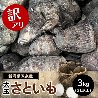 【訳アリ】五泉産　大玉さといも 3kg(2L以上)