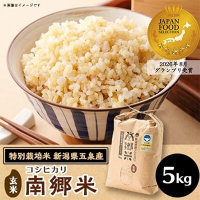 【先行予約】令和7年産 特別栽培米 隠れたお米の名産地!新潟県五泉産コシヒカリ「南郷米」玄米5kg