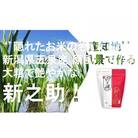 【毎月定期便】新之助 精米 4kg(2kg×2袋)全6回