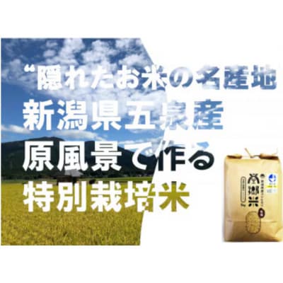 【毎月定期便】特別栽培米コシヒカリ「南郷米」玄米10kg(5kg×2袋)全3回
