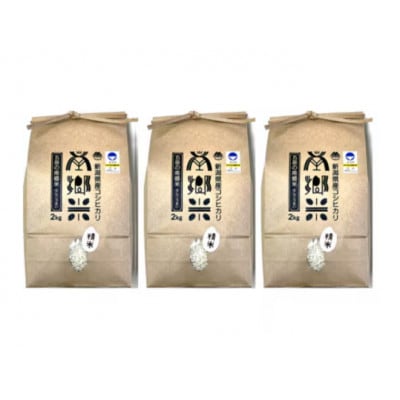 【2ヵ月毎定期便】特別栽培米コシヒカリ100%「南郷米」精米 6kg(2kg×3袋)全3回