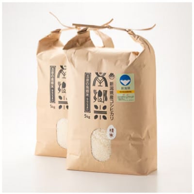 【2ヵ月毎定期便】特別栽培米コシヒカリ100%「南郷米」精米 10kg(5kg×2袋)全3回
