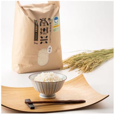 【2ヵ月毎定期便】特別栽培米コシヒカリ100%「南郷米」精米 5kg(5kg×1袋)全3回