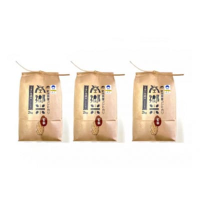 【毎月定期便】特別栽培米コシヒカリ「南郷米」玄米6kg(2kg×3袋)全6回