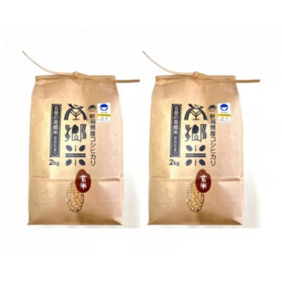 【毎月定期便】特別栽培米コシヒカリ「南郷米」玄米4kg(2kg×2袋)全3回