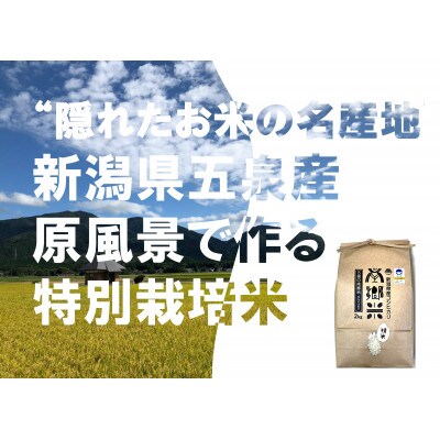 【毎月定期便】特別栽培米コシヒカリ100%「南郷米」精米 6kg(2kg×3袋)全12回
