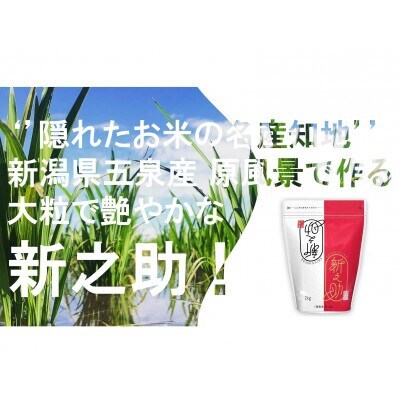 【毎月定期便】新之助 精米 6kg(2kg×3袋)全3回