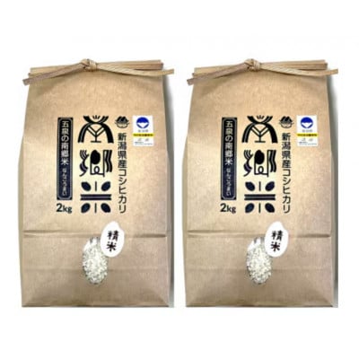 【毎月定期便】特別栽培米コシヒカリ100%「南郷米」精米 4kg(2kg×2袋)全3回