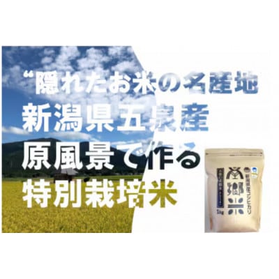 【毎月定期便】特別栽培米コシヒカリ100%「南郷米」精米 3kg(1kg×3袋)全3回