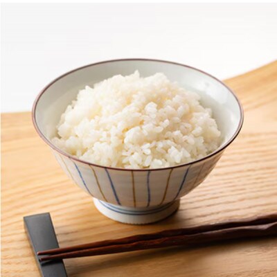 【毎月定期便】特別栽培米コシヒカリ100%「南郷米」精米 5kg(5kg×1袋)全12回