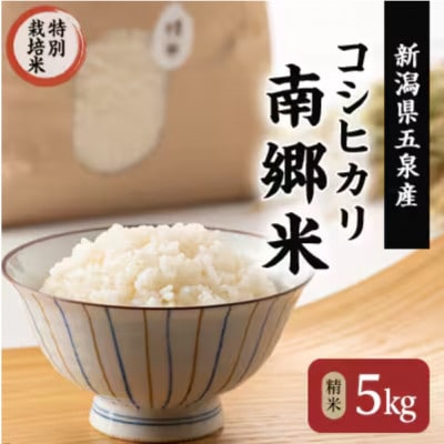 【毎月定期便】特別栽培米コシヒカリ100%「南郷米」精米 5kg(5kg×1袋)全6回