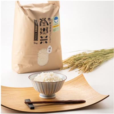 【毎月定期便】特別栽培米コシヒカリ100%「南郷米」精米 5kg(5kg×1袋)全3回