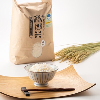 【毎月定期便】[12回定期便]特別栽培米コシヒカリ100%「南郷米」精米 5kg全12回