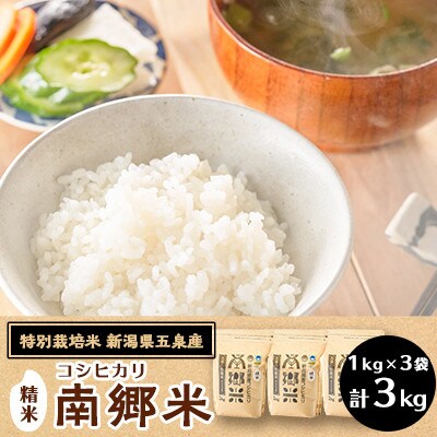 【毎月定期便】《12回定期便》特別栽培米コシヒカリ100%「南郷米」精米 3kg全12回