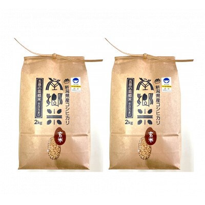 【毎月定期便】《6回定期便》特別栽培米コシヒカリ「南郷米」玄米4kg(2kg×2袋)全6回