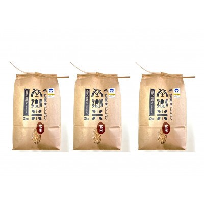 【毎月定期便】[6回定期便]特別栽培米コシヒカリ「南郷米」玄米6kg(2kg×3袋)全6回