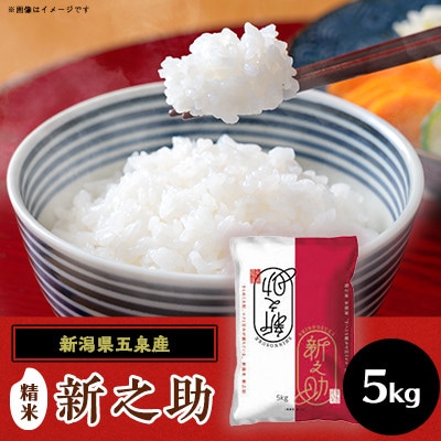 【2ヵ月毎定期便】[隔月3回定期便]新之助 精米 5kg(5kg×1袋)全3回