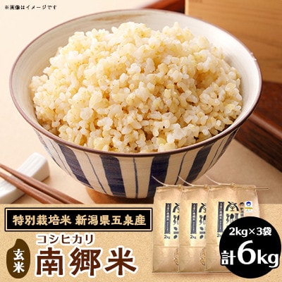 【2ヵ月毎定期便】[隔月3回定期便]特別栽培米コシヒカリ「南郷米」玄米6kg(2kg×3袋)全3回