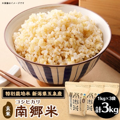 【2ヵ月毎定期便】[隔月3回定期便]特別栽培米コシヒカリ「南郷米」玄米3kg(1kg×3袋)全3回