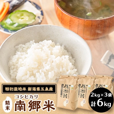 【2ヵ月毎定期便】[隔月3回定期便]特別栽培米コシヒカリ100%「南郷米」精米 6kg全3回