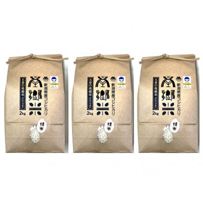 【2ヵ月毎定期便】[隔月3回定期便]特別栽培米コシヒカリ100%「南郷米」精米 6kg全3回