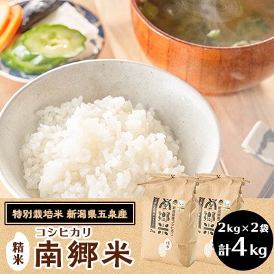 【2ヵ月毎定期便】[隔月3回定期便]特別栽培米コシヒカリ100%「南郷米」精米 4kg全3回