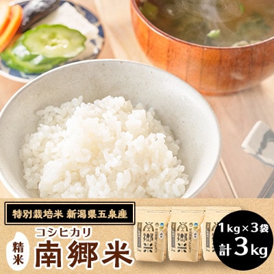 【2ヵ月毎定期便】[隔月3回定期便]特別栽培米コシヒカリ100%「南郷米」精米 3kg全3回