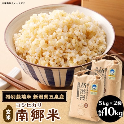 【2ヵ月毎定期便】[隔月3回定期便]特別栽培米コシヒカリ「南郷米」玄米10kg(5kg×2袋)全3回