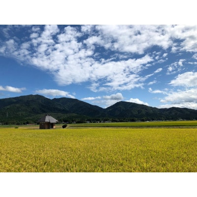 【2ヵ月毎定期便】[隔月3回定期便]特別栽培米コシヒカリ「南郷米」玄米10kg(5kg×2袋)全3回