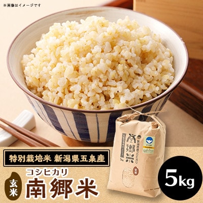 【2ヵ月毎定期便】[隔月3回定期便]特別栽培米コシヒカリ「南郷米」玄米5kg(5kg×1袋)全3回