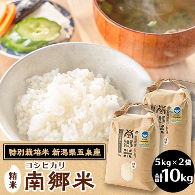 【2ヵ月毎定期便】[隔月3回定期便]特別栽培米コシヒカリ100%「南郷米」精米 10kg全3回