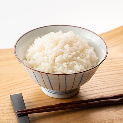 【2ヵ月毎定期便】[隔月3回定期便]特別栽培米コシヒカリ100%「南郷米」精米 10kg全3回