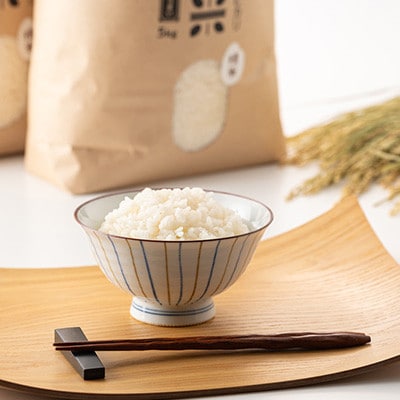 【2ヵ月毎定期便】[隔月3回定期便]特別栽培米コシヒカリ100%「南郷米」精米 10kg全3回