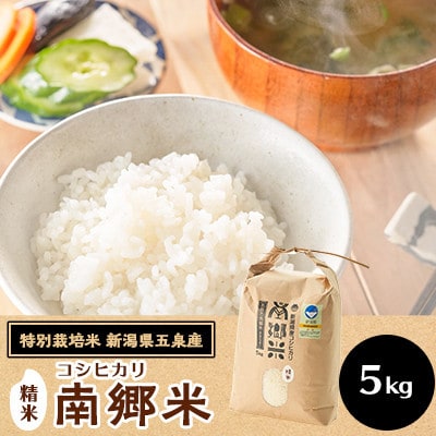 【2ヵ月毎定期便】[隔月3回定期便]特別栽培米コシヒカリ100%「南郷米」精米 5kg全3回
