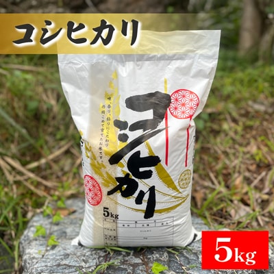 【令和6年産米】新潟県産コシヒカリ　5kg