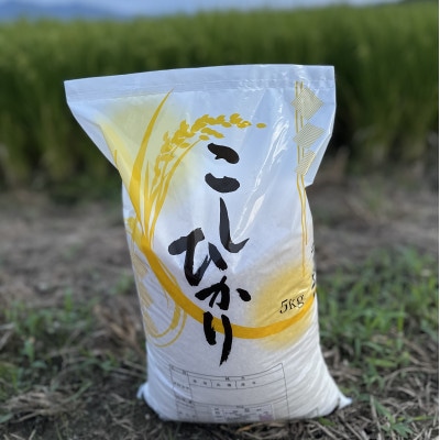 【令和7年産米】新潟県産コシヒカリ　5kg