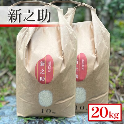 【令和6年産米】新潟県産　新之助　20kg
