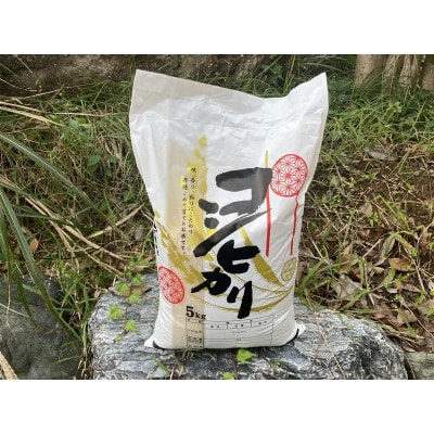 【毎月定期便】新潟県産コシヒカリ　5kg全3回
